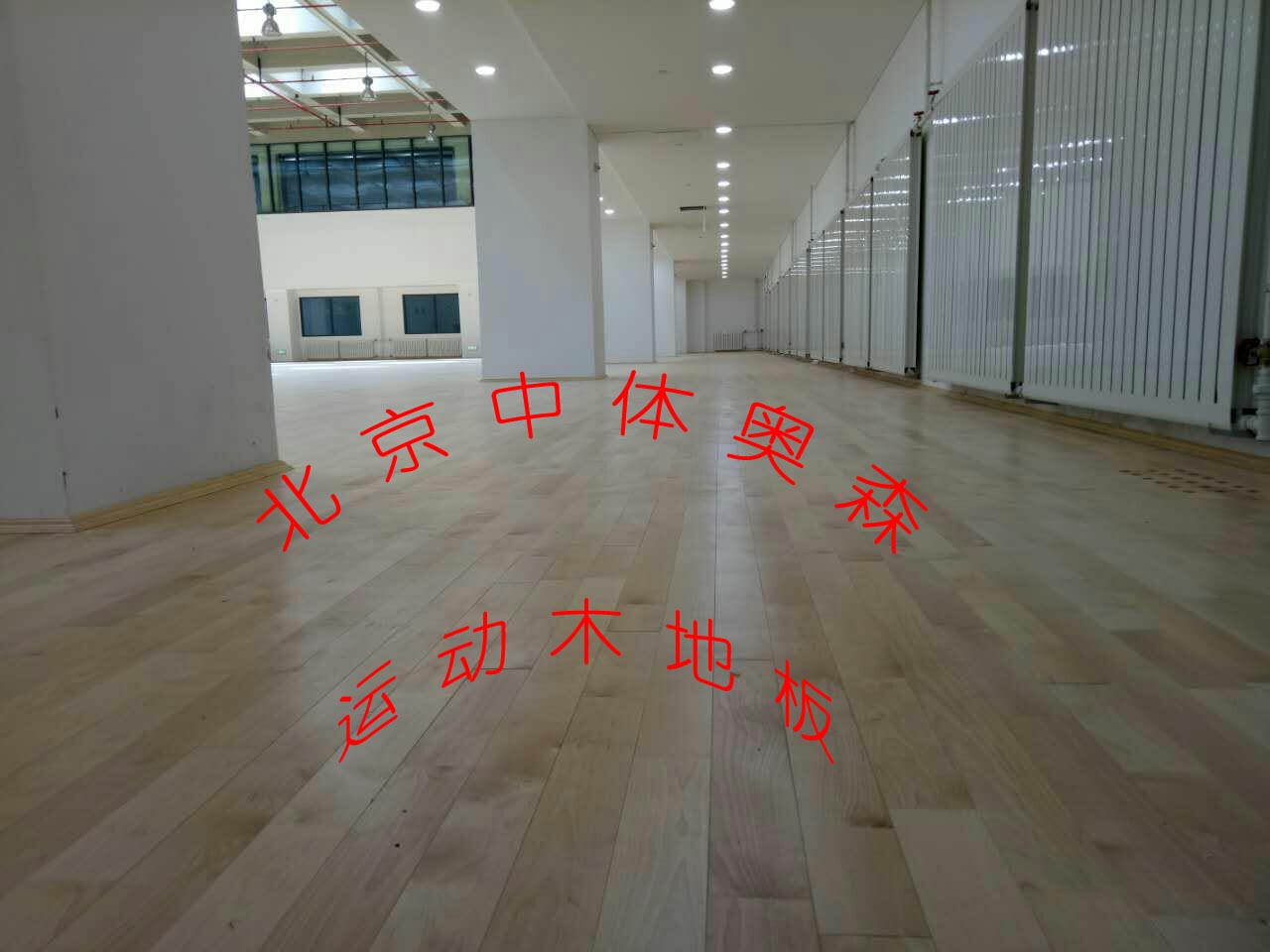 A塘沽生態(tài)體育館__副本(1).jpg