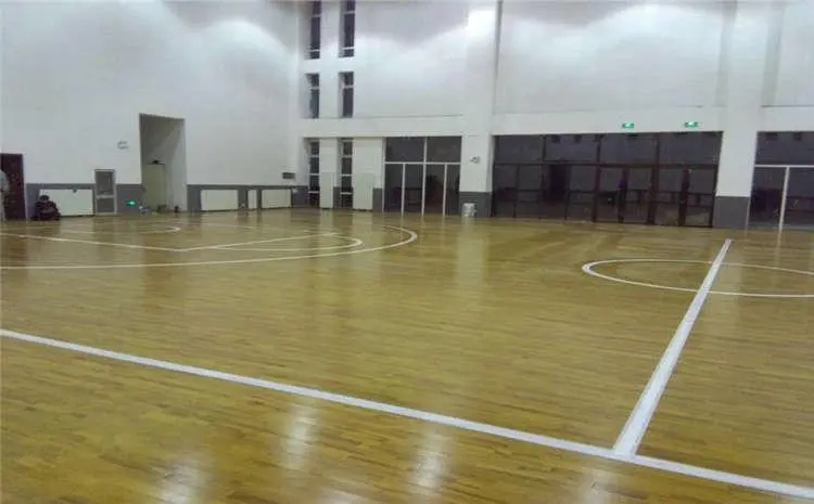 2.排球館.webp.jpg